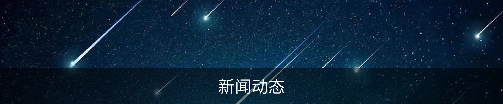 新闻动态